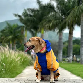 Blue-Yellow Body Suit Raincoat