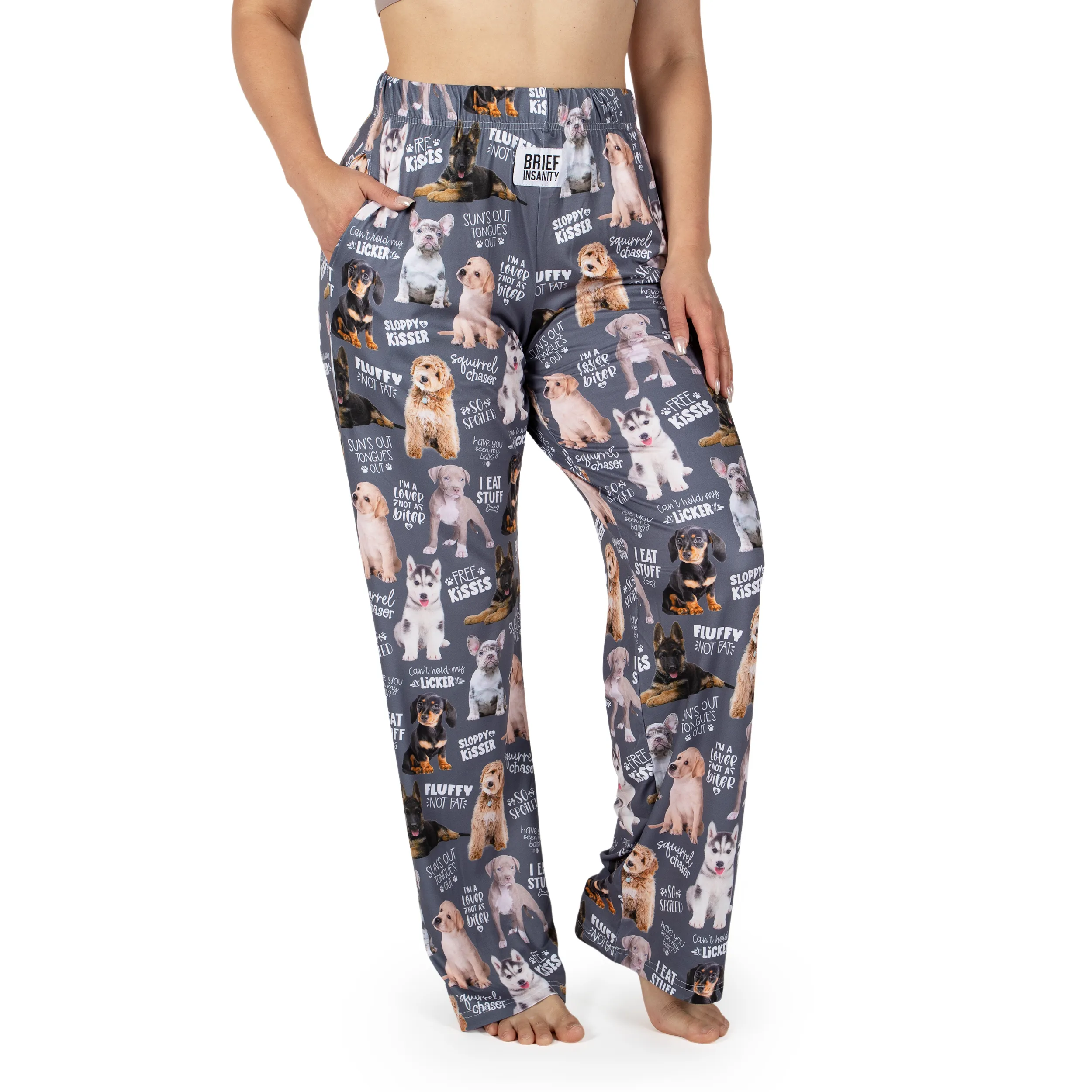 Chalkboard Dog Lounge Pants