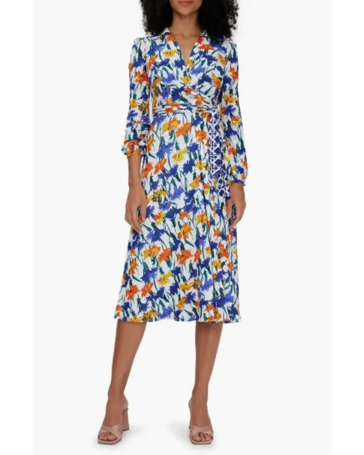 Diane Von Furstenberg Phoenix Reversible Dress