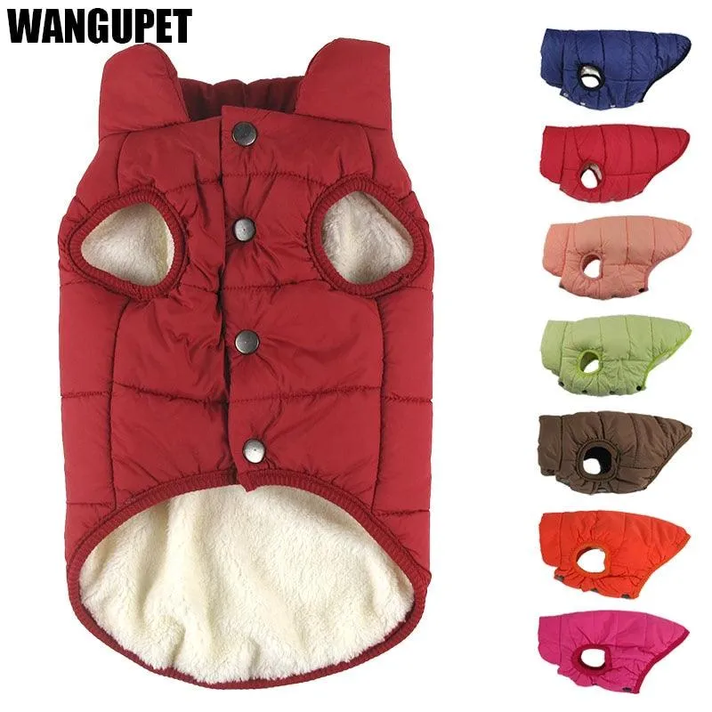 Winter Cotton Padded Pet Coat